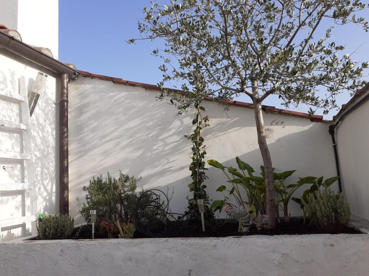 Il Nido Apartment Terni Exterior photo